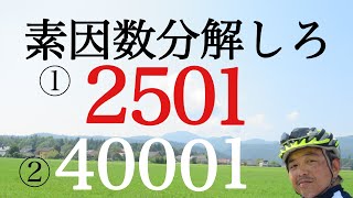 2501と40001を素因数分解せよ [upl. by Myrah]