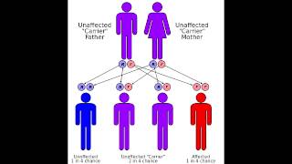 Friedreichs Ataxia  Causes Symptoms amp Mnemonics [upl. by Acsisnarf]