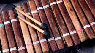 Xylophone Ringtone Free Music Ringtones For Android MP3 Download [upl. by Lindley277]