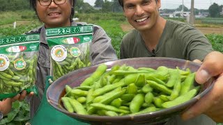 Edamame Farm  Japanese Superfood Snack Adventure ★ ONLY in JAPAN [upl. by Euginomod]