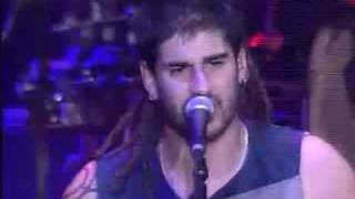 Melendi  El Informe de Forense  con letra [upl. by Calvin]