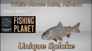 Fishing Planet  Unique Splake  White Moose Lake Alberta [upl. by Brentt]