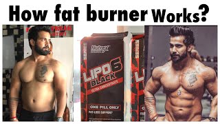 How Fat Burner Works  How To Use Fat Burner  Advantages amp Disadvantages  Rajveer Shishodia [upl. by Eenhpad]