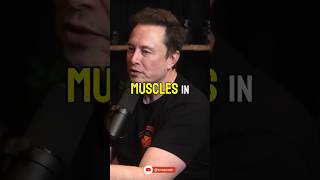 Lex Fridman amp Elon Musk  Forearm Controls Finger movement shorts podcast [upl. by Karlens266]