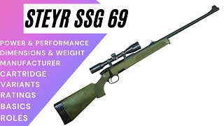 STEYR SSG 69  Every Specifications You Need to Know [upl. by Chader]