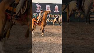 youngest player tent pegging  neza bazi in punjab youtubeshorts nezabaziinpakistan ytshorts [upl. by Adnawad]