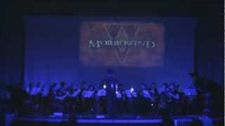 Nerevar Rising  from TES III Morrowind game soundtrack  Cantabile Orchesra [upl. by Gipson848]