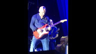 Shes gone  Your latest trick  Mark Knopfler  20072015 Barolo Italy [upl. by Trimble251]