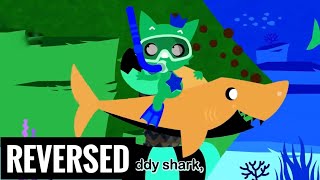 Baby Shark Dance PINKFONG Songs for Children  CISUM  reversed music [upl. by Hildagarde]