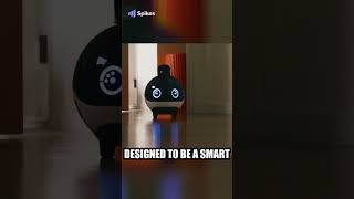 EBO X The AllinOne Home Security and Companion Robot [upl. by Clapper]