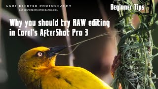 Photography Beginners Tip Why After Shot Pro 3 might be ideal for you [upl. by Purdum229]