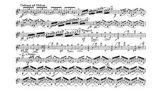 Violin Concerto in E minor Op 64  Felix Mendelssohn Score [upl. by Haroldson]