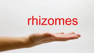 How to Pronounce rhizomes  American English [upl. by Strader]