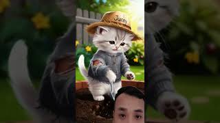 Cat cherry cute cat cutecat funny short [upl. by Aerua]