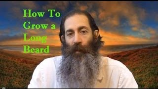 How to grow a long beard [upl. by Buddy179]