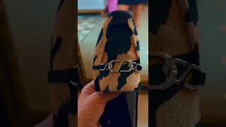 LOAFER SCHUTZ ANIMAL PRINT schutz moda fashion unboxing luizabarcelos look [upl. by Naniac629]