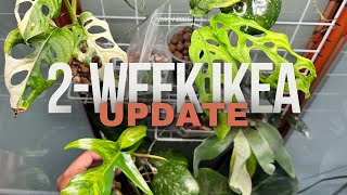 2WEEK IKEA UPDATE AFTER I REVAMPED IT [upl. by Glori]