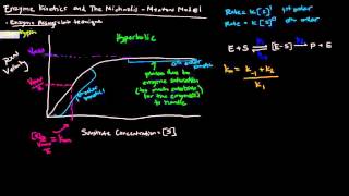 Enzymes Part 2 of 5  Enzyme Kinetics and The Michaelis Menten Model [upl. by Kreindler]