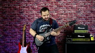 Wickedness  Cesario Filho  Carrozza Sophie 7String Guitar [upl. by Ahsik]