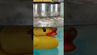 Poor duck under hydropic presstrending shortsscience experiment [upl. by Kirsch]