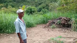 O Sítio em Cachoeira Pé de SerraMunicípio de João Alfredope foi vendido [upl. by Dirgni]