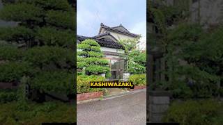 A Spacious Japanese House in Niigata at THIS Price 🏠 shorts japan [upl. by Jeunesse]