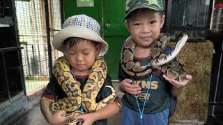 Explore G2G Animal Garden MAEPS Serdang  petting zoo malaysia [upl. by Hacceber]