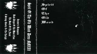 Spirit Of The Old Wood  Demo MMXIX Full Demo Old School Dungeon Synth [upl. by Ahsiekan800]