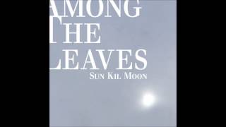 Sun Kil Moon  UK Blues 2 [upl. by Ylesara]