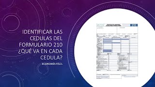 Identificar las cédulas del formulario 210 ¿Qué va en cada cédula [upl. by Dittman718]