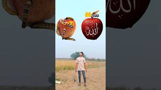 ❤️یامنزل القرآن یا خالق الانسان شکر یارب🕋shorts​ youtube shorts​ trending​ viral​ 2024 Arfi [upl. by Federica]