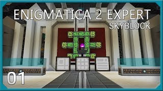 Enigmatica 2 Expert Skyblock EP1 [upl. by Adyam689]