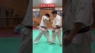 【武道・格闘技】武道は股関節が重要だと言うけど 本当なのか！？ aikido ＃karate martial 武道 ＃空手＃合気道＃筋トレselfdefens [upl. by Hseham]