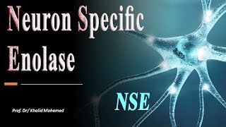 Neuronspecific enolase NSE test made easy [upl. by Lirba]