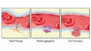 Introduction to Microsurgery Part 1 [upl. by Marina160]