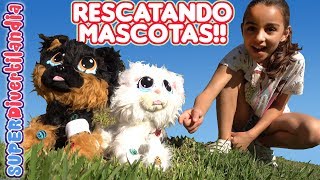 🐱 RESCATANDO MASCOTAS 🐶 Rescue Runts gato perro y unicornio [upl. by Kory]