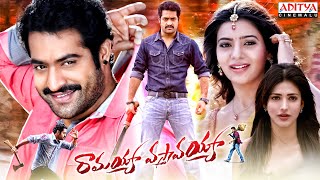 Lok Parlok Yamadonga Hindi Dubbed Full Movie  Jr NTR Priyamani [upl. by Immak]