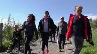 Elevage RodierSartre  Transhumance 2019 au col de Bonnecombe sur lAubrac [upl. by Llebanna]