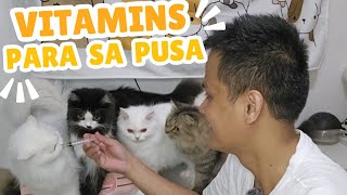 VITAMINS na maganda para sa pusa at aso gustonggusto din ng mga pusa namin [upl. by Neely]