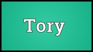 Tory Meaning [upl. by Tletski]