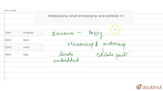 Mesocarp and endocarp are edible in [upl. by Sum]