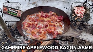 Solo Overnight Campfire Bacon ASMR in the Snow [upl. by Aivull96]