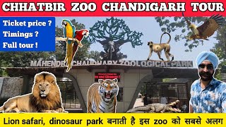 Chhatbir zoo in chandigarh  chattbir zoo chandigarh zoo ticket price 2023  Chandigarh chidiya ghar [upl. by Elatsyrk]