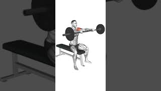 Barbell Seated Front Raise [upl. by Yarled432]