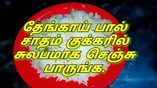 Coconut Milk Rice in Tamil  RECIPE 74 [upl. by Lutero]