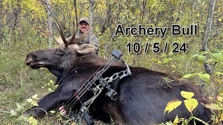 Alberta Archery Bull Moose [upl. by Somerville]