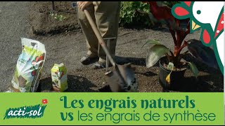 Engrais naturel vs engrais synthétique  Conseils jardinage de Larry Hodgson [upl. by Autumn]