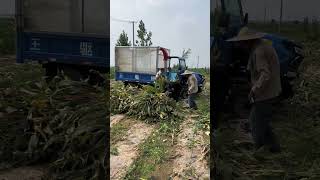 Grass cutting machine automobile youtubeshorts subscribe [upl. by Assenev76]