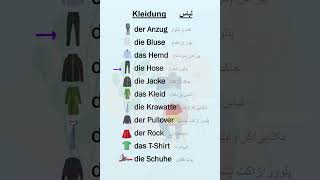 Wichtige deutsche wörter lernen  kleidung  لباس ها deutsch آموزشزبانآلمانی گرامرالمانی زبان [upl. by Wiltshire567]