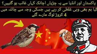 why and how these house sparrows gone missing from pakistan and india urduhindi [upl. by Auric564]